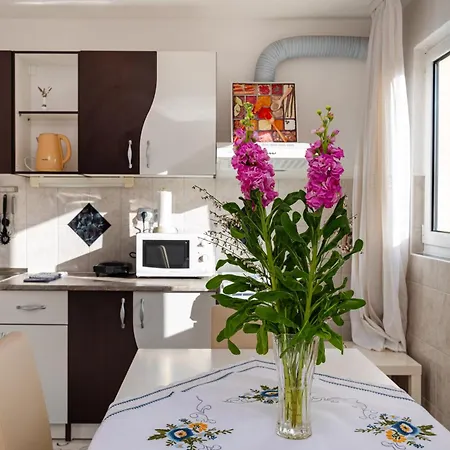 Apartmán Mili Novigrad (Dalmatia)