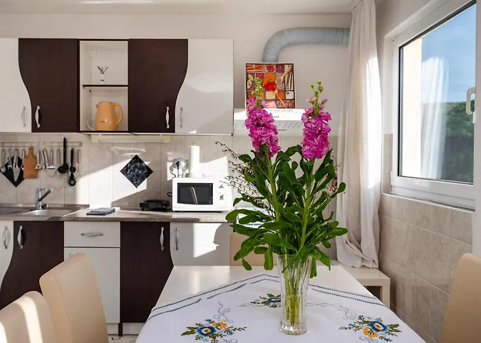 Apartman Mili Novigrad (Dalmatia)